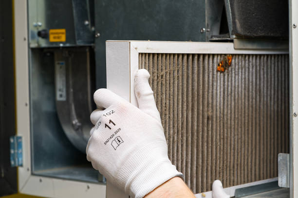 Best Affordable Duct Cleaning Services  in Coal City, WV