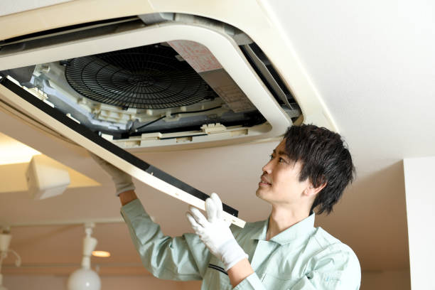 Best Air Vent Cleaning Services  in Coal City, WV